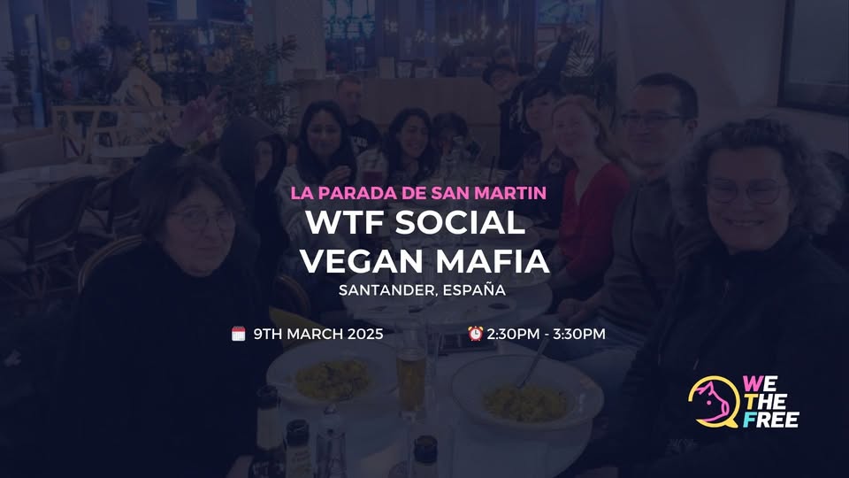 We The Free - WTF