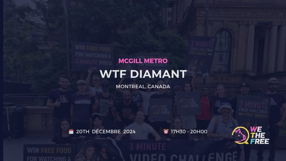We The Free - WTF