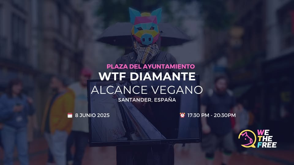We The Free - WTF