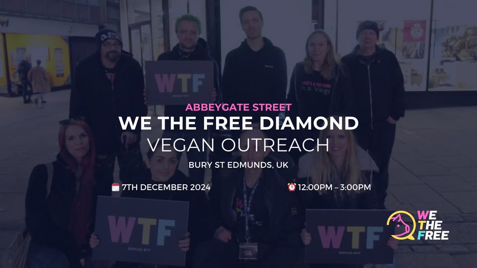 We The Free - WTF