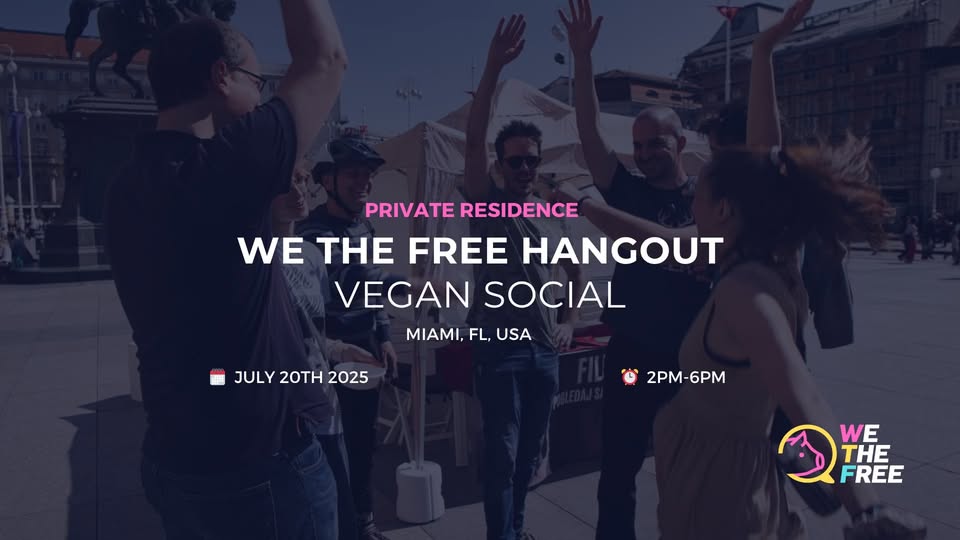 We The Free - WTF