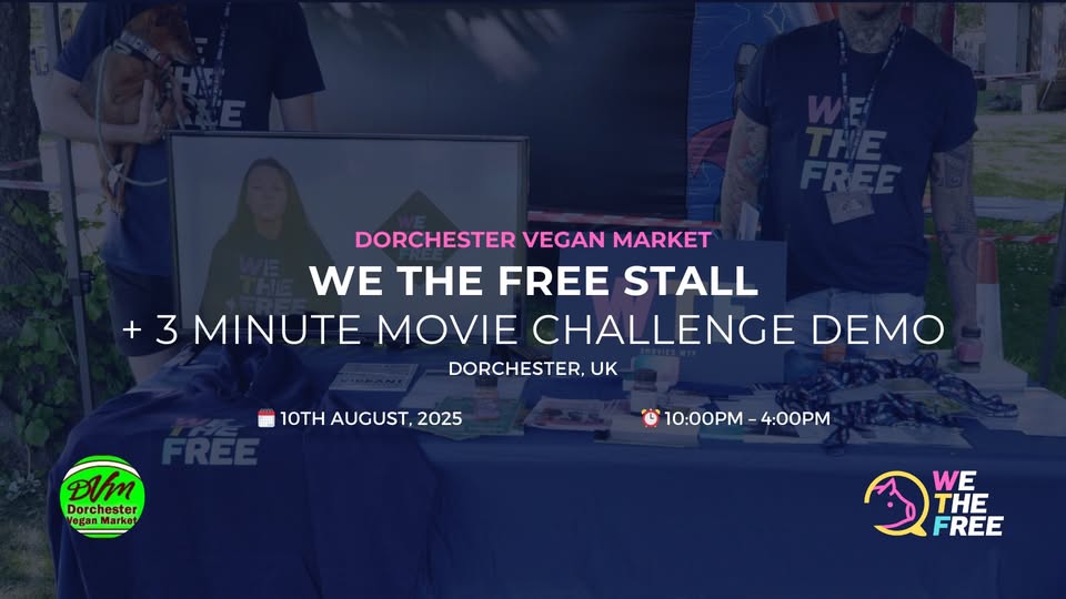We The Free - WTF