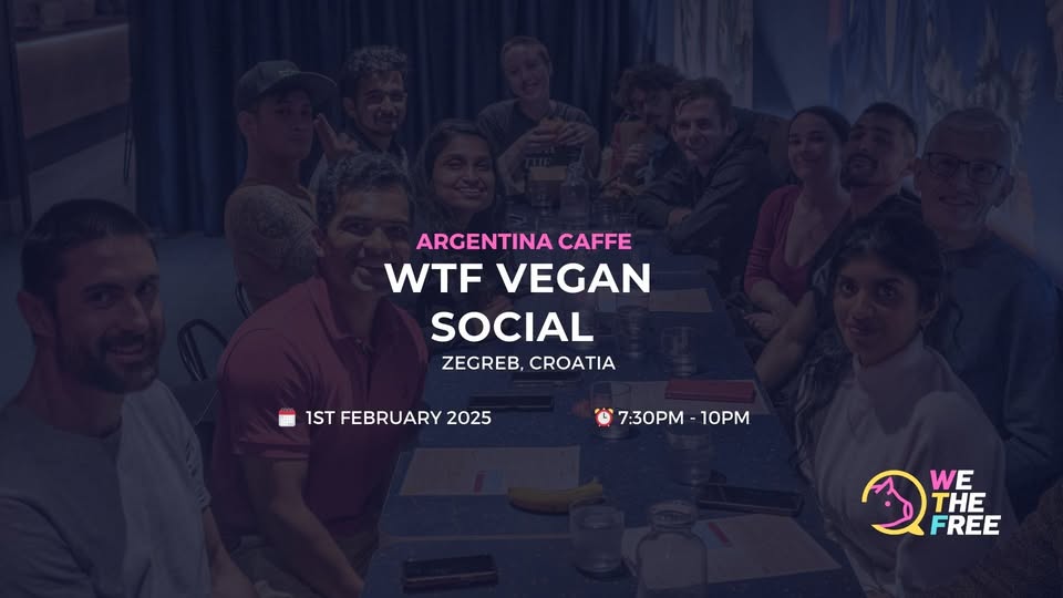We The Free - WTF