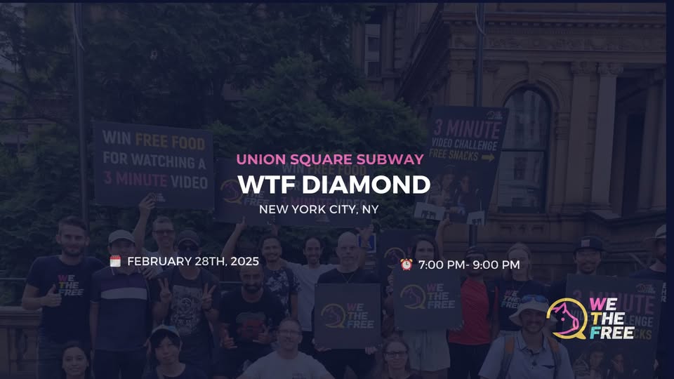 We The Free - WTF