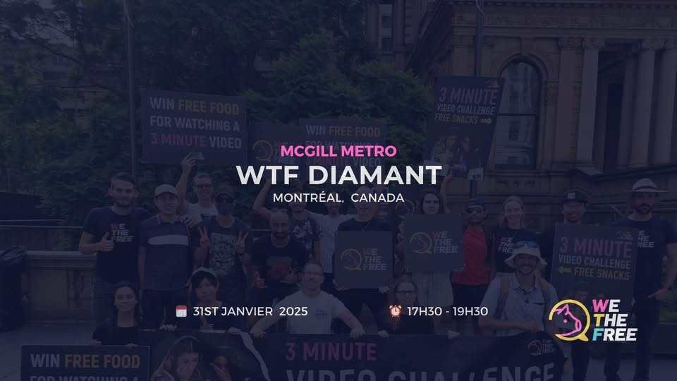 We The Free - WTF