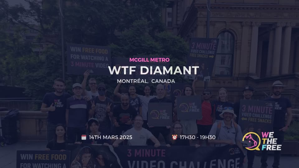 We The Free - WTF