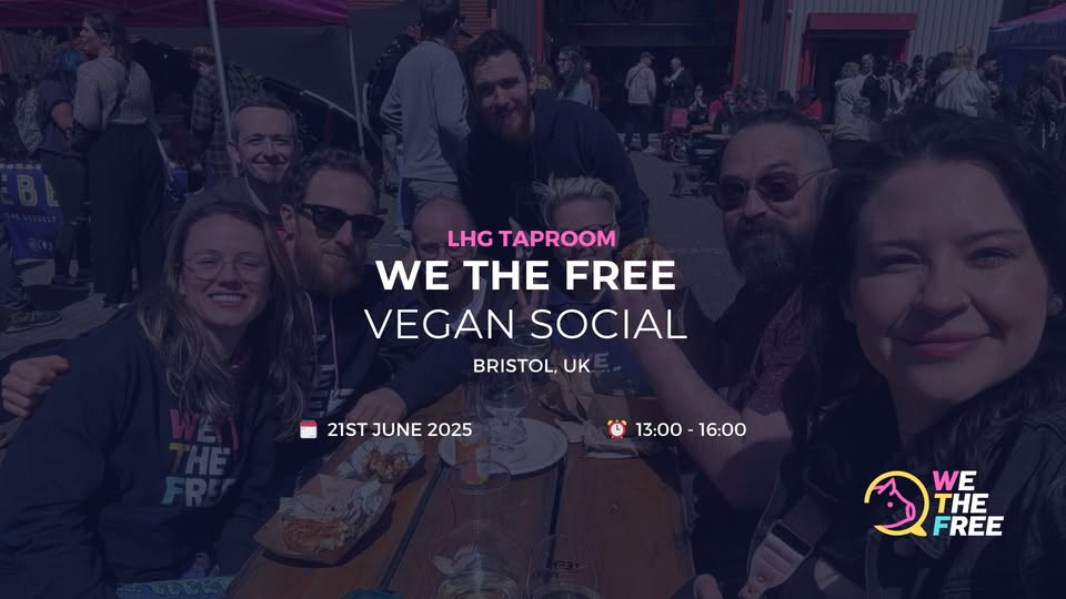 We The Free - WTF