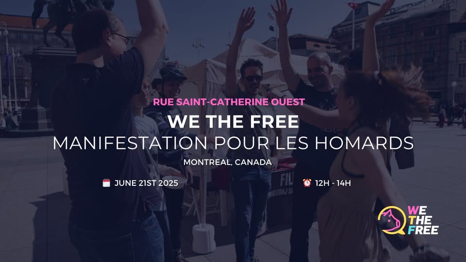 We The Free - WTF