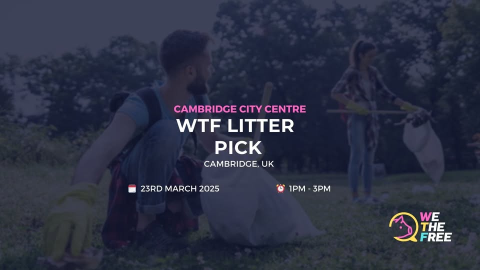We The Free - WTF