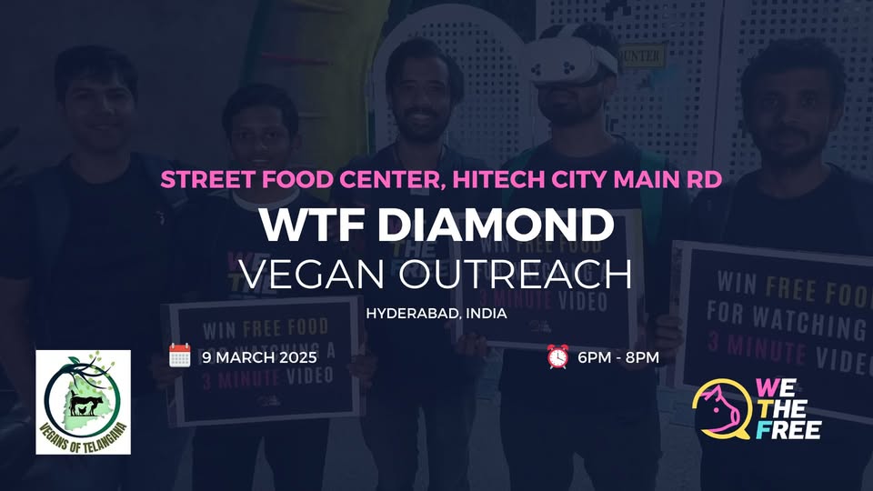 We The Free - WTF