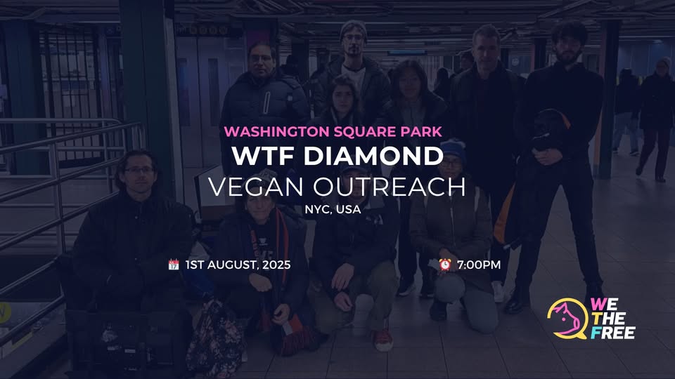 We The Free - WTF