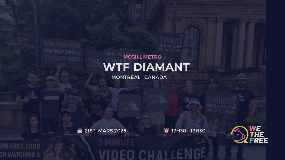 We The Free - WTF