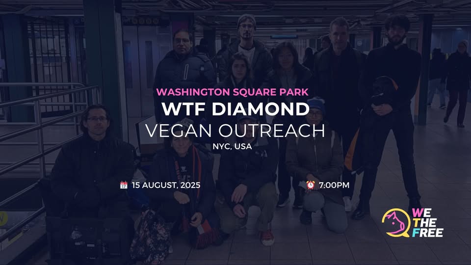 We The Free - WTF