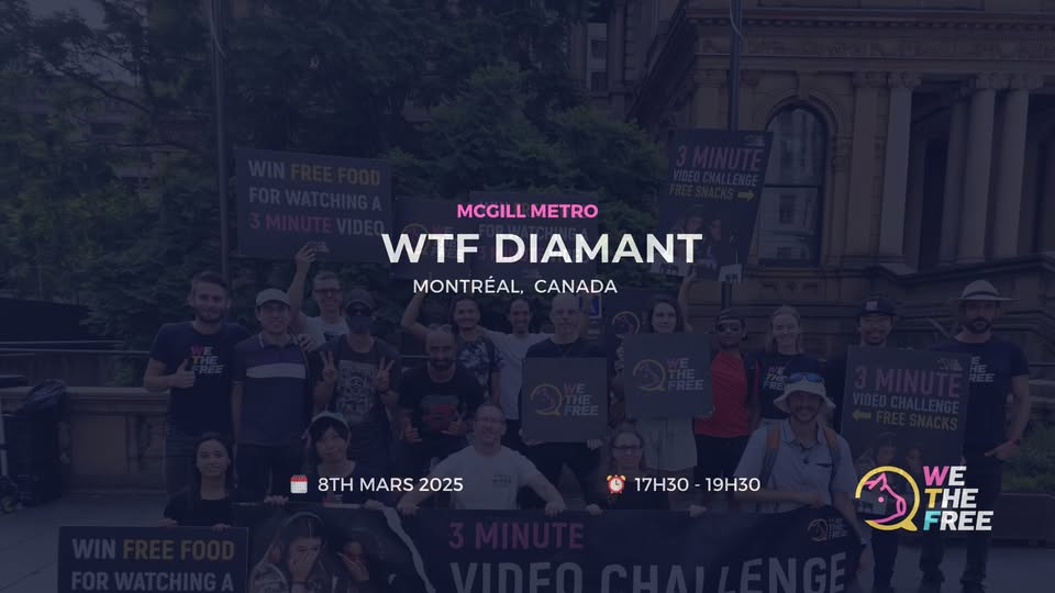 We The Free - WTF