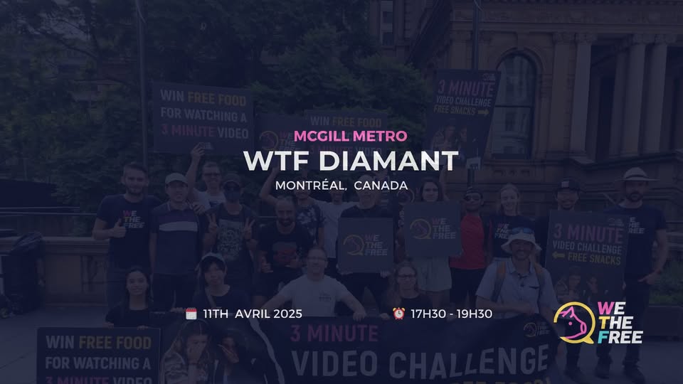 We The Free - WTF