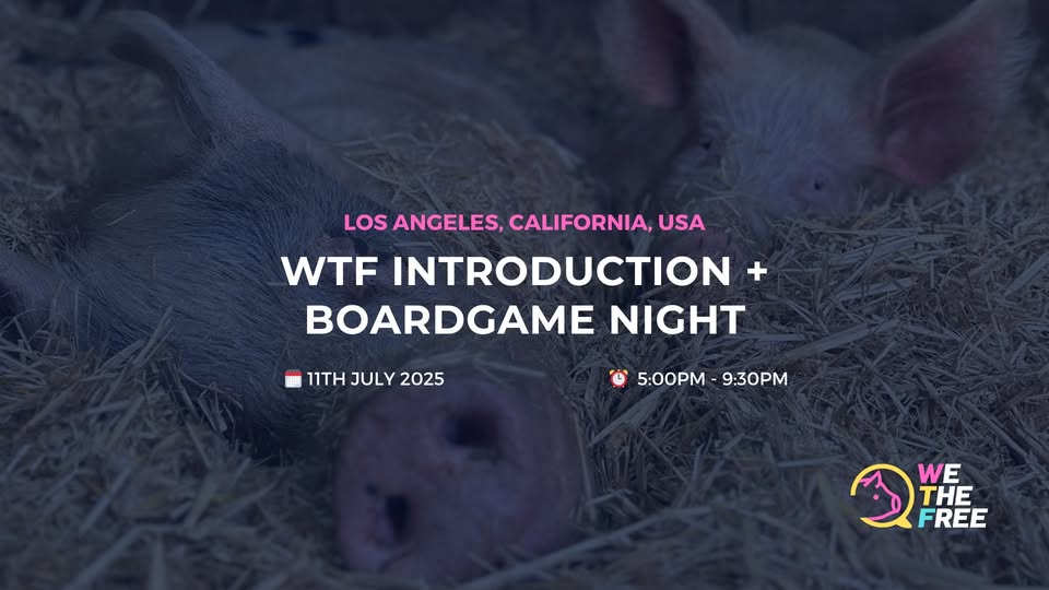 We The Free - WTF