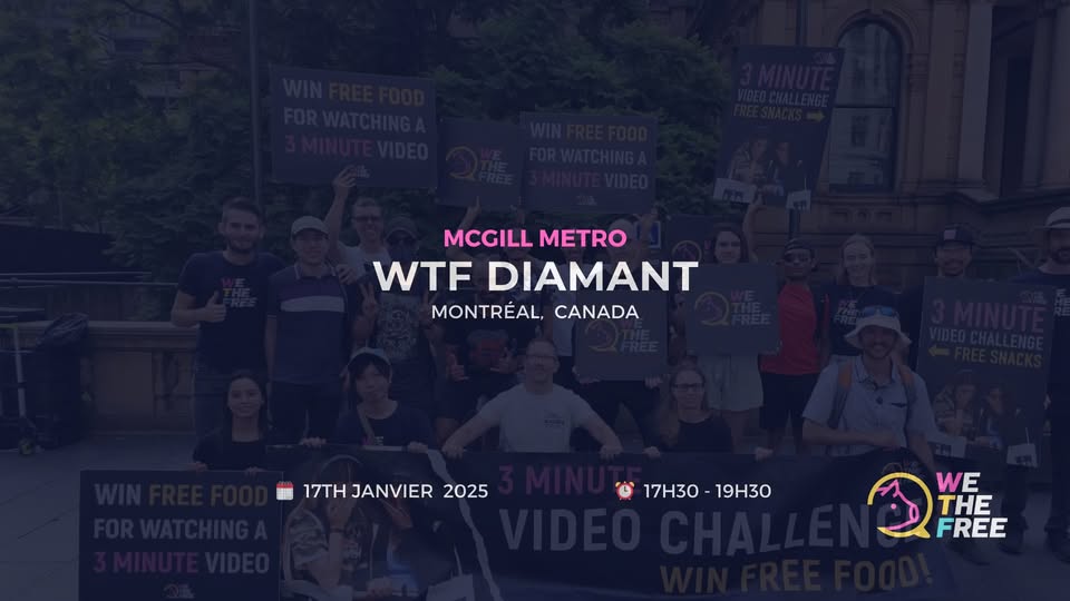 We The Free - WTF