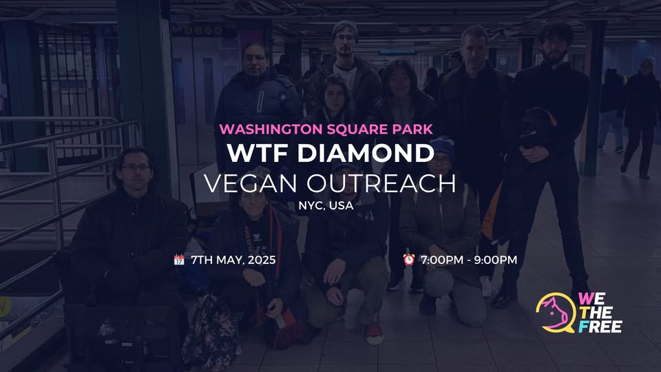 We The Free - WTF