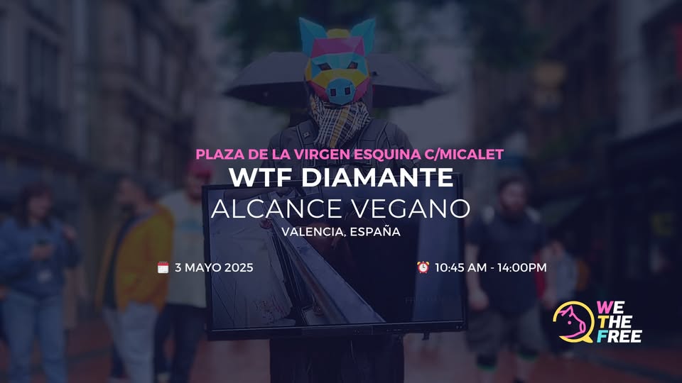 We The Free - WTF