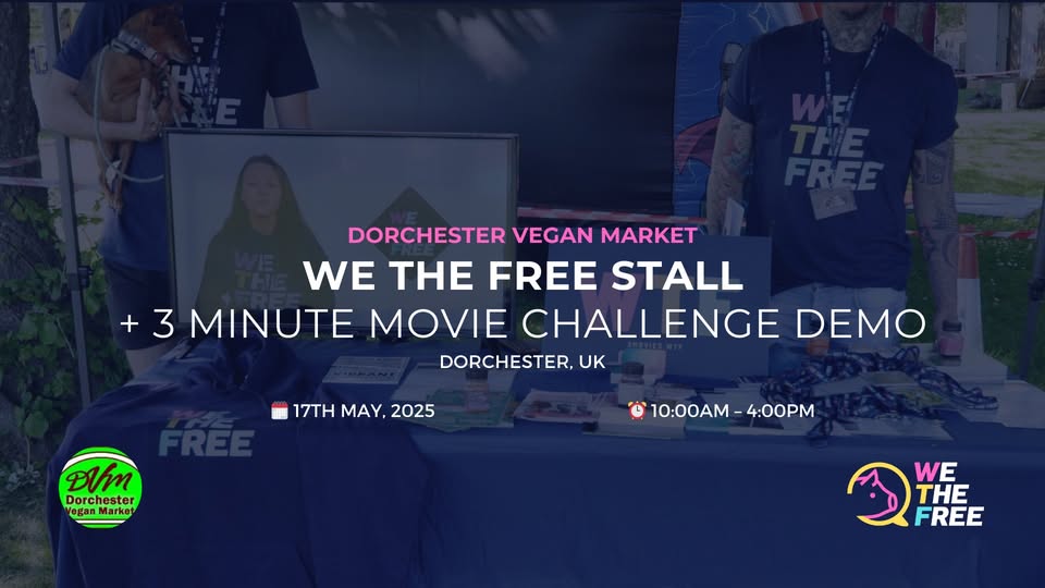We The Free - WTF
