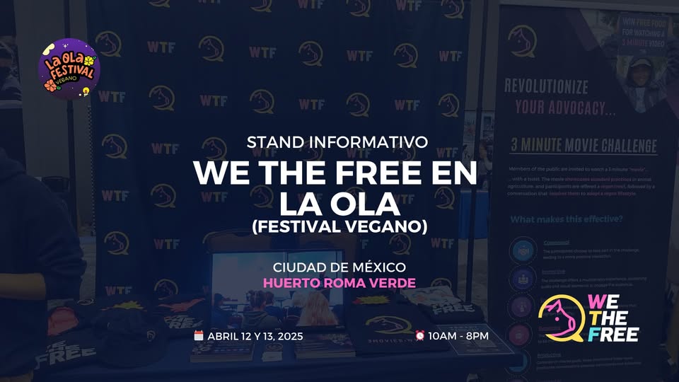 We The Free - WTF