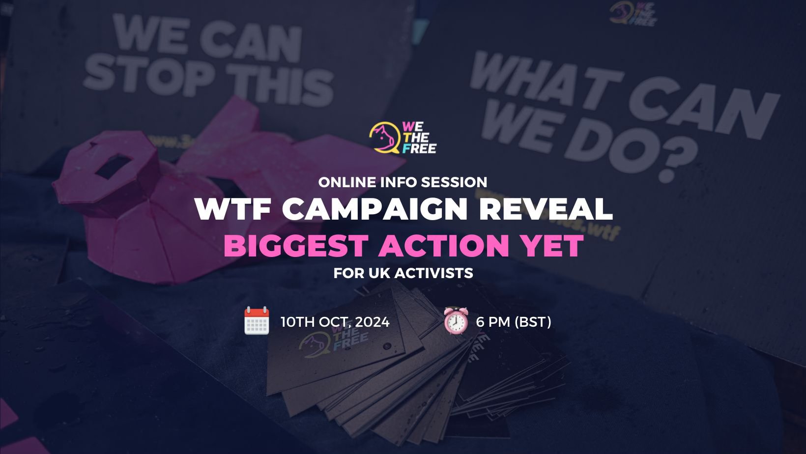 We The Free - WTF