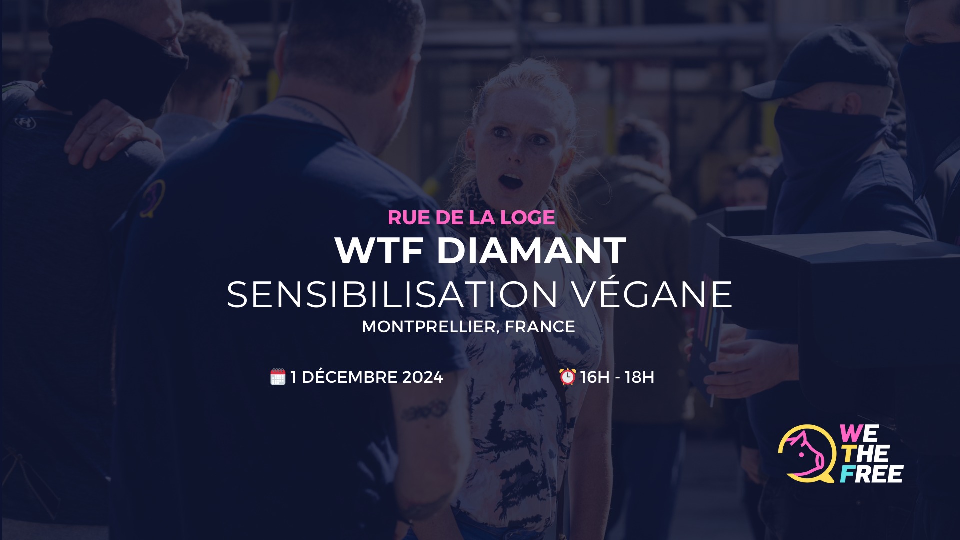 We The Free - WTF