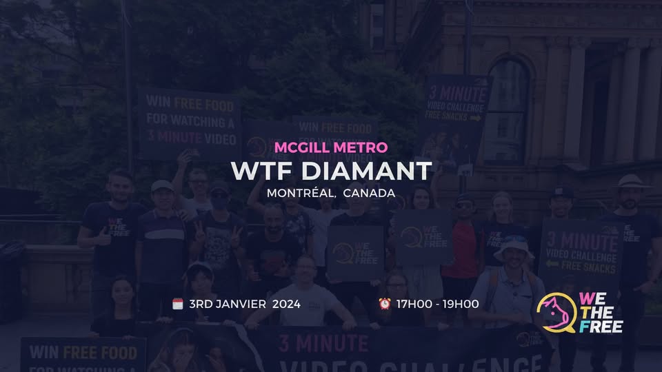 We The Free - WTF