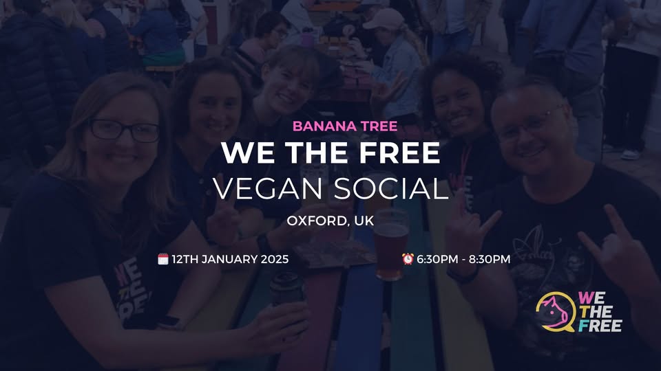 We The Free - WTF