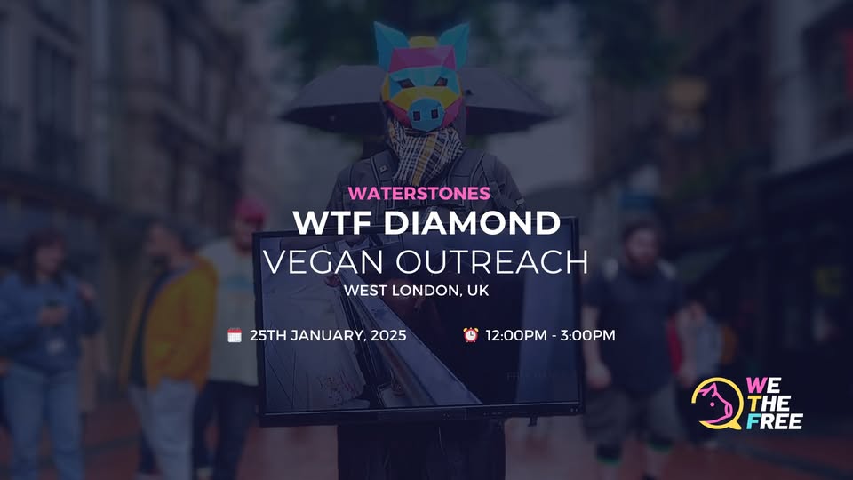 We The Free - WTF
