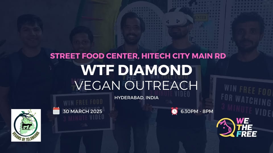 We The Free - WTF