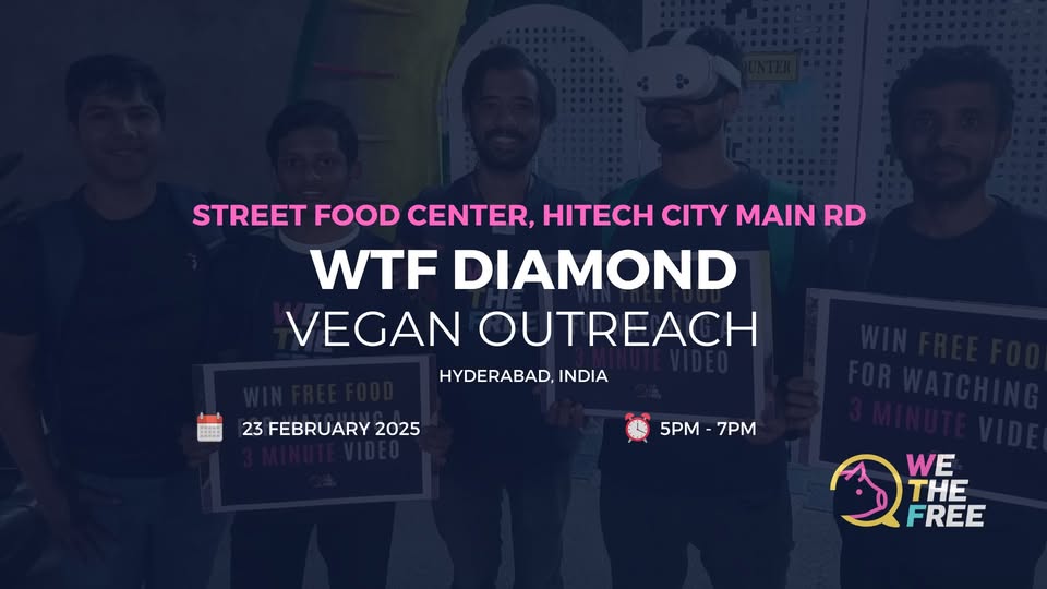We The Free - WTF