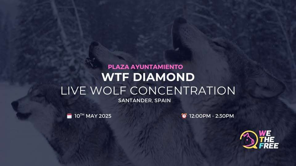 We The Free - WTF