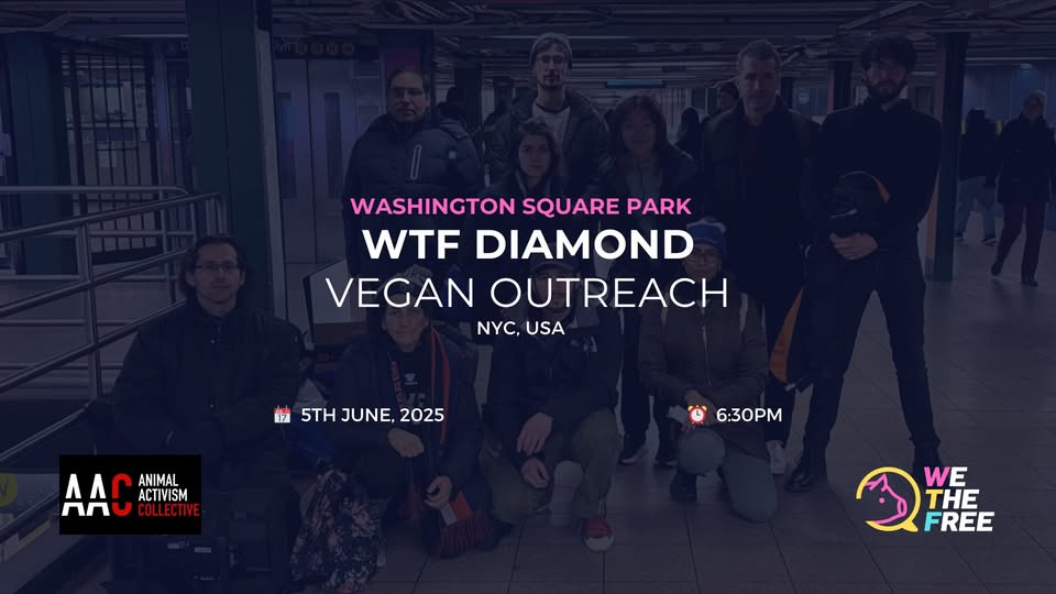 We The Free - WTF