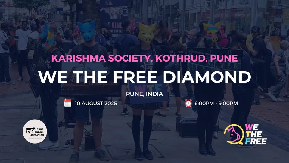 We The Free - WTF
