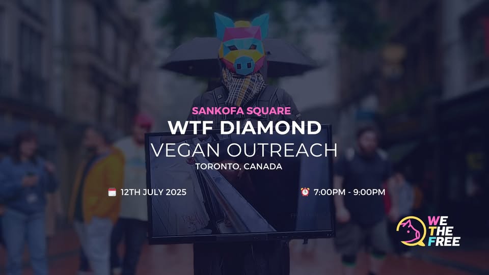 We The Free - WTF