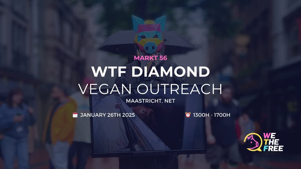 We The Free - WTF