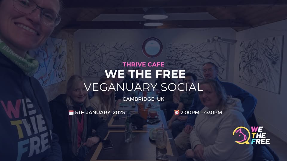 We The Free - WTF