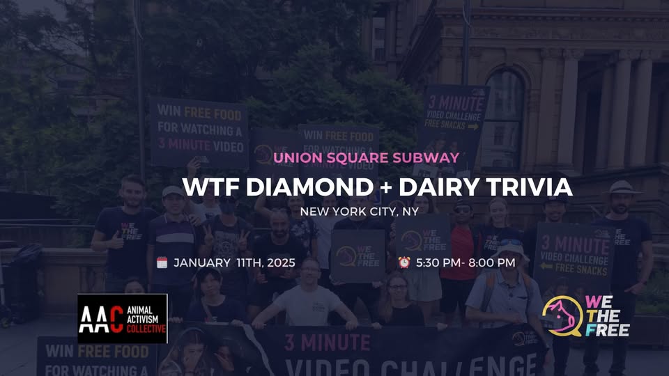 We The Free - WTF