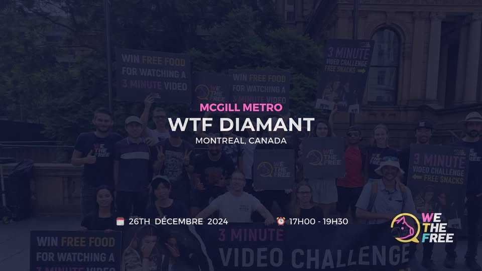 We The Free - WTF