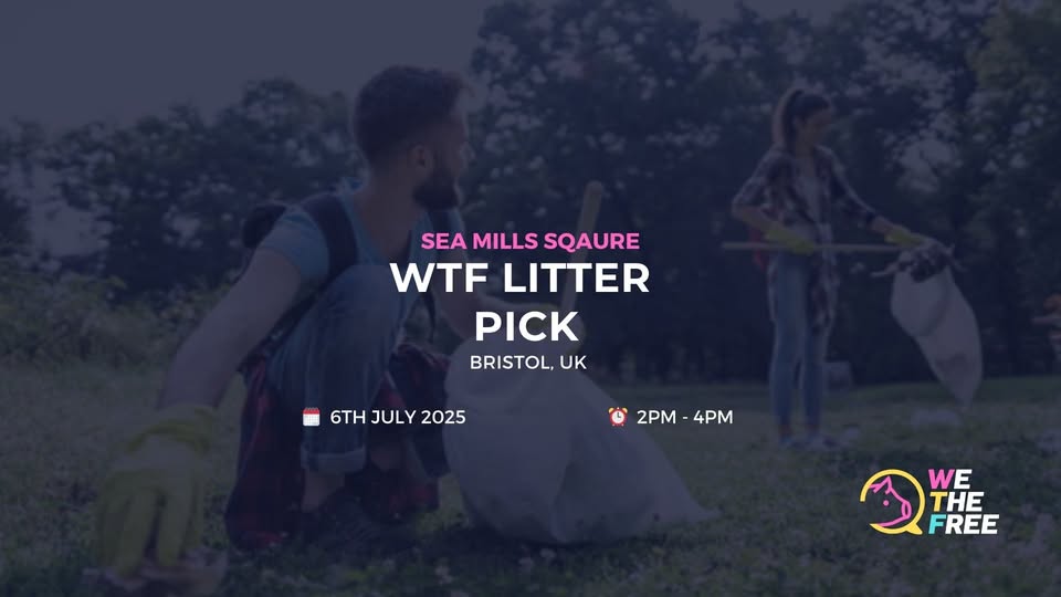 We The Free - WTF