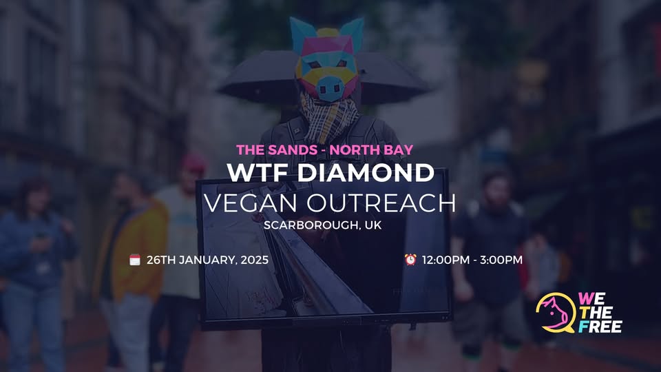 We The Free - WTF