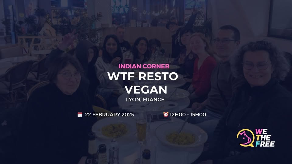 We The Free - WTF