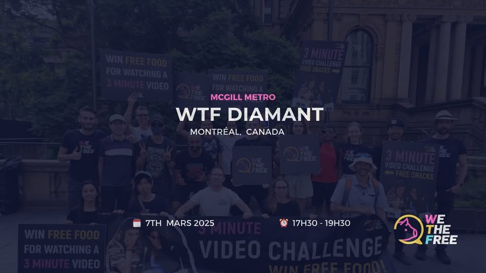We The Free - WTF