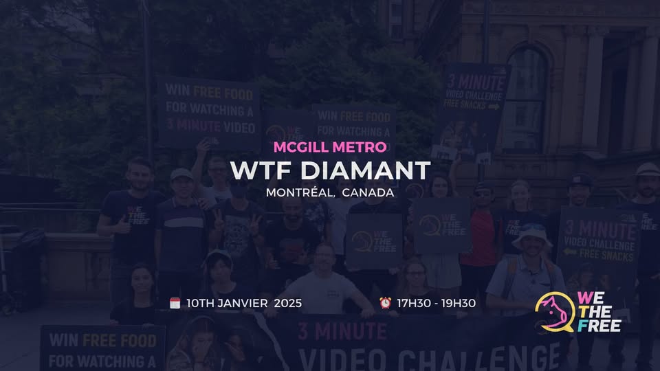 We The Free - WTF