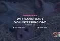 We The Free - WTF