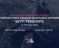 We The Free - WTF