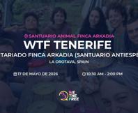 We The Free - WTF