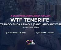 We The Free - WTF