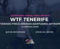 We The Free - WTF